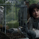 Illustration for article titled Its time to consider the hateful idea that Robin Arryn will win iGame Of Thrones/i